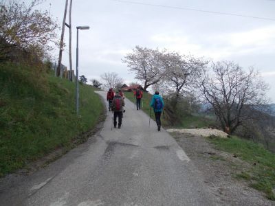 Kliknite za ogled večje slike