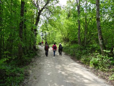 Kliknite za ogled večje slike