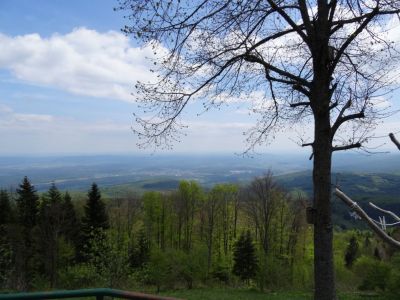 Kliknite za ogled večje slike