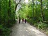 DSC04243.JPG