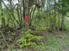 DSC04245.JPG