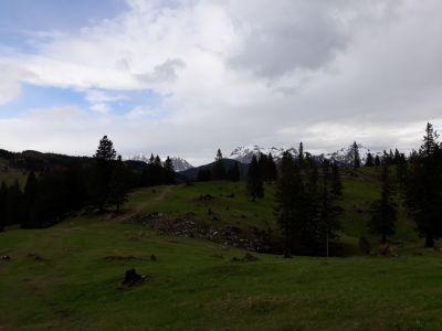 Kliknite za ogled večje slike