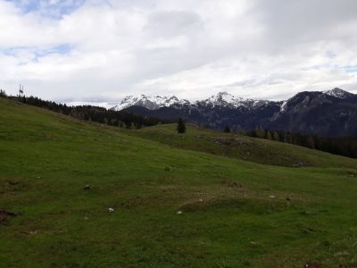 Kliknite za ogled večje slike