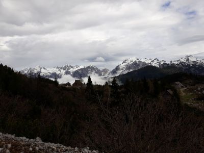 Kliknite za ogled večje slike