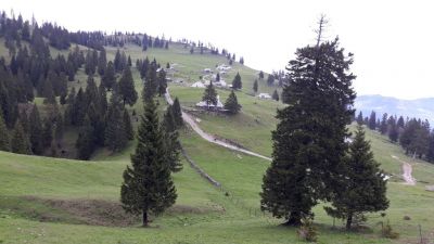 Kliknite za ogled večje slike