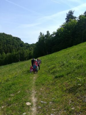 Kliknite za ogled večje slike