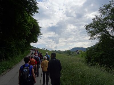 Kliknite za ogled večje slike