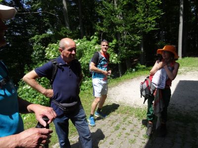 Kliknite za ogled večje slike