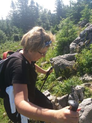 Kliknite za ogled večje slike