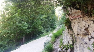 Kliknite za ogled večje slike