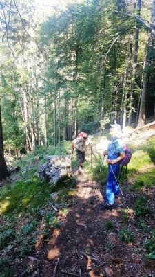 Kliknite za ogled večje slike