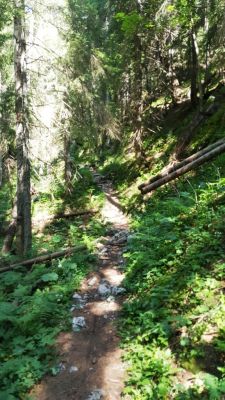 Kliknite za ogled večje slike