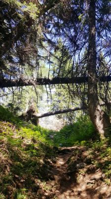 Kliknite za ogled večje slike