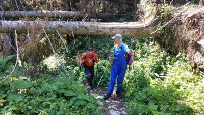 Kliknite za ogled večje slike