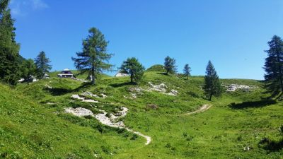 Kliknite za ogled večje slike