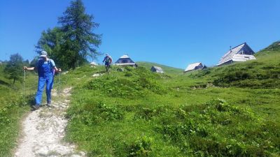 Kliknite za ogled večje slike