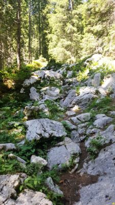 Kliknite za ogled večje slike