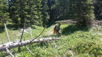 Kliknite za ogled večje slike