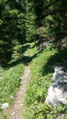 Kliknite za ogled večje slike
