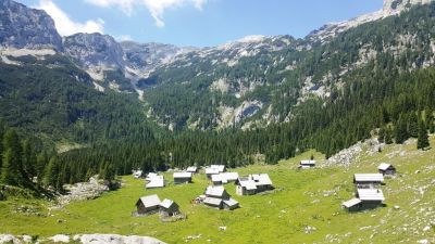 Kliknite za ogled večje slike
