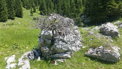 Kliknite za ogled večje slike