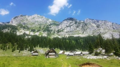 Kliknite za ogled večje slike