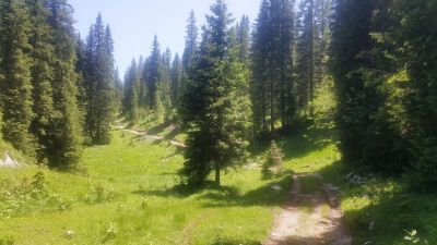 Kliknite za ogled večje slike