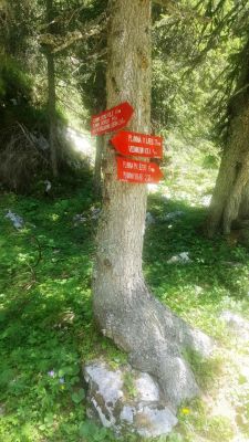 Kliknite za ogled večje slike