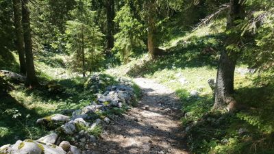 Kliknite za ogled večje slike