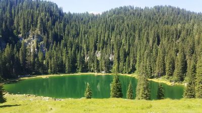 Kliknite za ogled večje slike