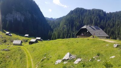 Kliknite za ogled večje slike