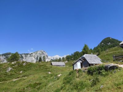 Kliknite za ogled večje slike