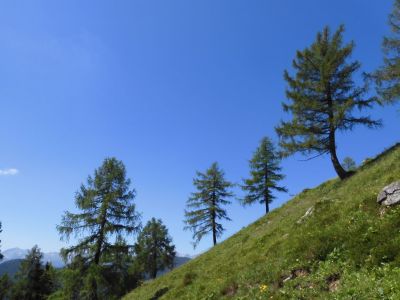 Kliknite za ogled večje slike