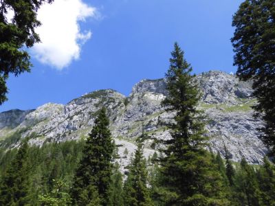 Kliknite za ogled večje slike