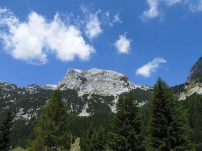Kliknite za ogled večje slike