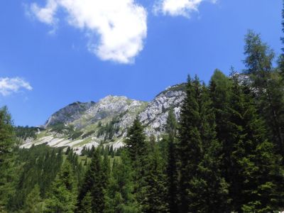 Kliknite za ogled večje slike
