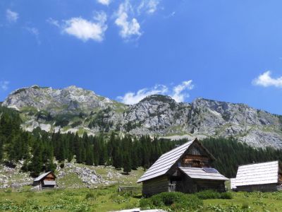 Kliknite za ogled večje slike