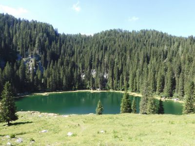 Kliknite za ogled večje slike