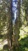 20190629_120845.jpg