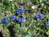 DSCN1074.JPG