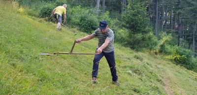 Kliknite za ogled večje slike