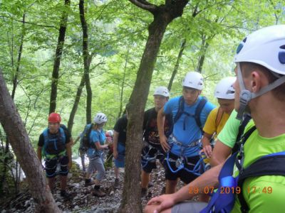 Kliknite za ogled večje slike