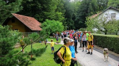 Kliknite za ogled večje slike