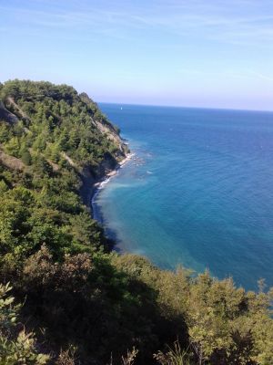 Kliknite za ogled večje slike