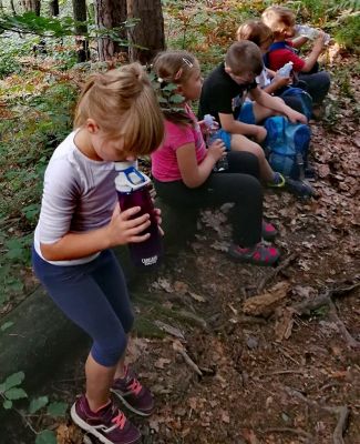 Kliknite za ogled večje slike