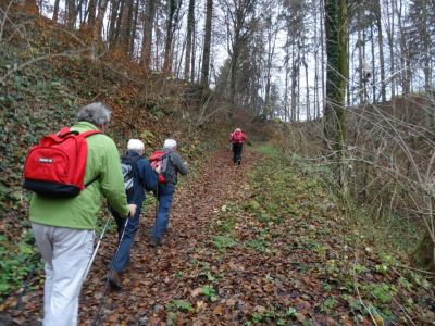Kliknite za ogled večje slike