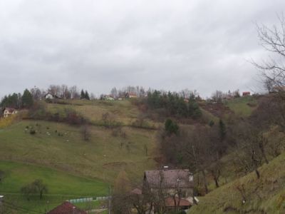 Kliknite za ogled večje slike