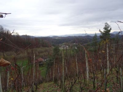 Kliknite za ogled večje slike