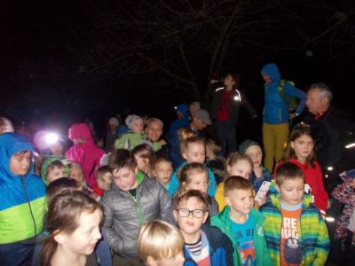 Kliknite za ogled večje slike