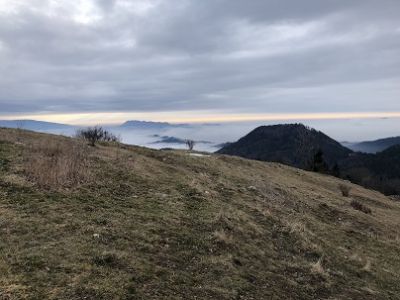 Kliknite za ogled večje slike
